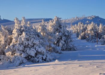 trail du Ventoux 2024 en direct