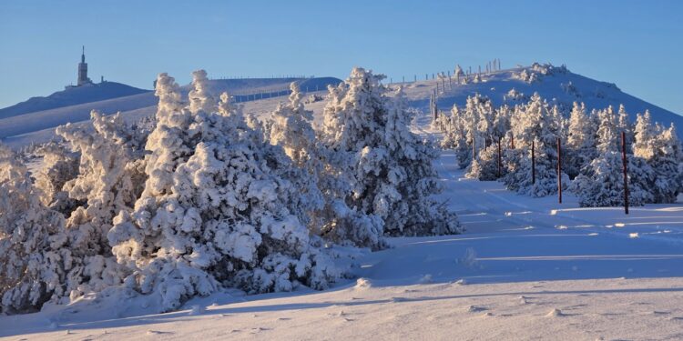 trail du Ventoux 2024 en direct