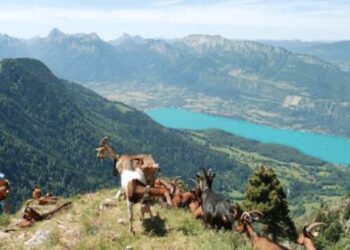 Que faut-il faire pour préparer un trail de 35km ?