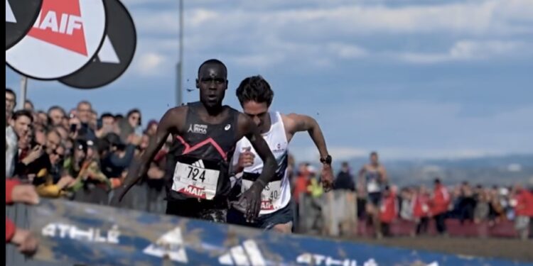 résultats championnats de France de Cross