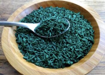 spiruline