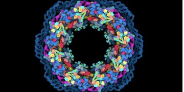 visualisation positive traill