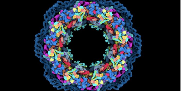 visualisation positive traill