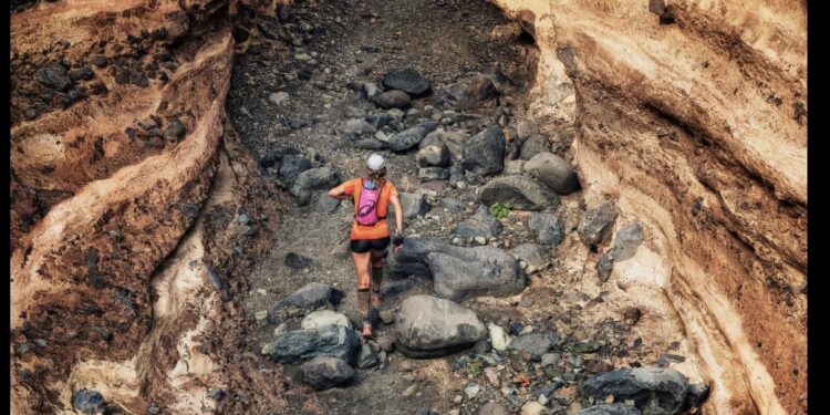 favoris Transvulcania