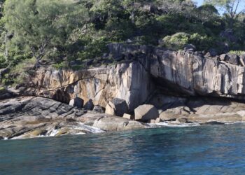 Trail des Seychelles