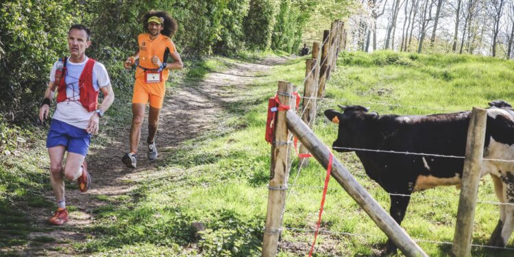 Nord Trail Monts de Flandres