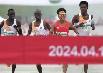 lièvre course à pied