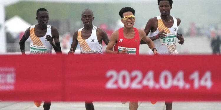 lièvre course à pied