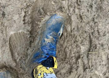 Nord Trail Mont des Flandres