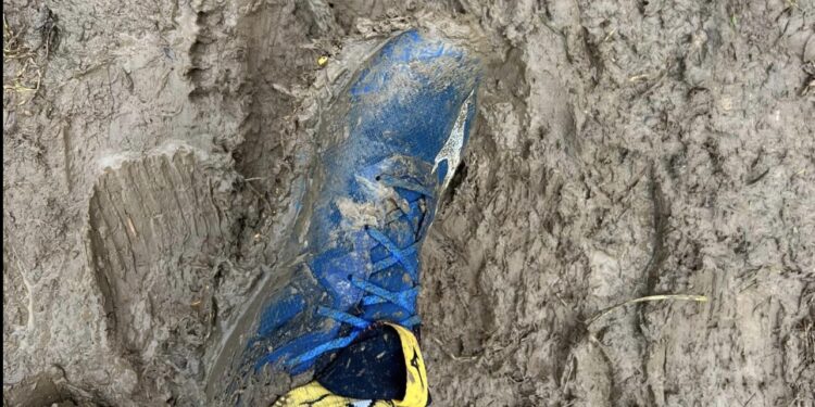 Nord Trail Mont des Flandres