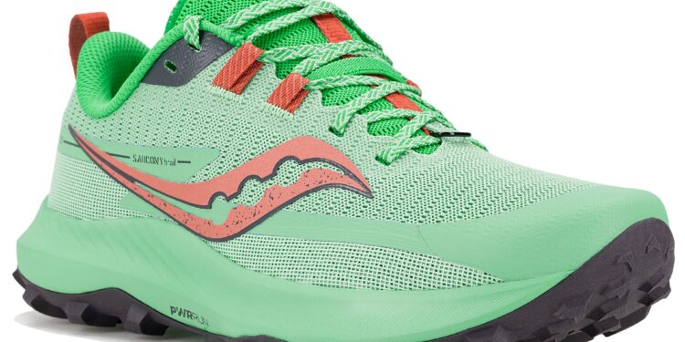chaussure Saucony Peregrine