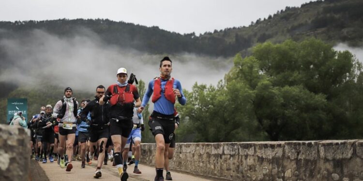 résultat Tarn Valley Trail