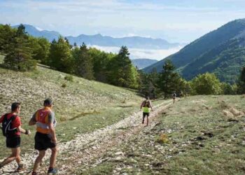 Résultat trail de Haute Provence