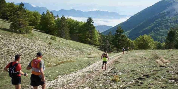 Résultat trail de Haute Provence