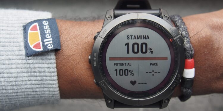 Stamina Garmin