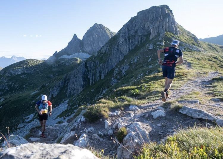 La 6000D s'est sacrément renouvelée - u-Trail