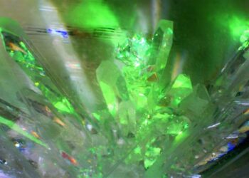 nutritionniste trail