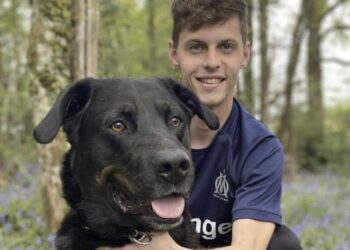 boissons de l'effort