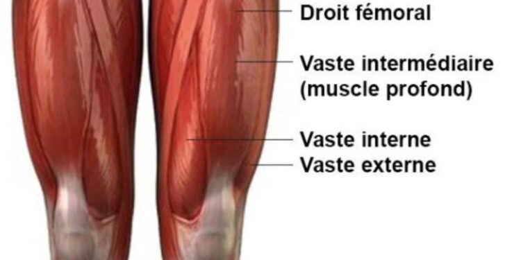 Comment éviter les douleurs au niveau du vaste interne (blessure trail)