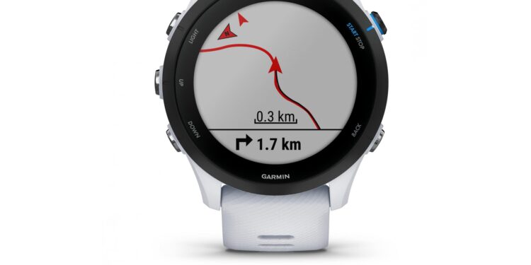 montre GPS Garmin Forerunner 255