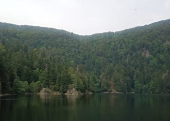 Trail de la Vallée des Lacs