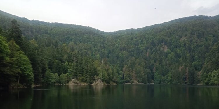 Trail de la Vallée des Lacs