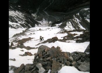 Coucou Peilllex, t’en penses quoi ?